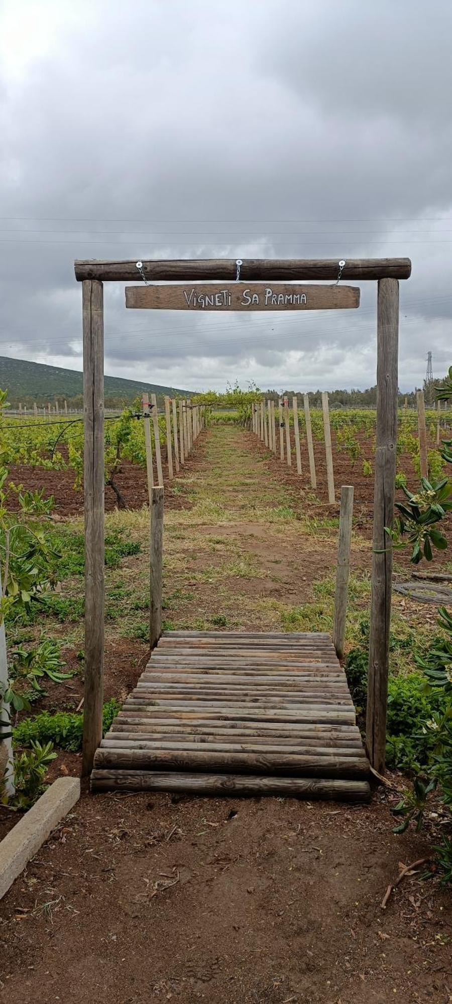 Agriturismo Sa Pramma Santa Maria la Palma Kültér fotó